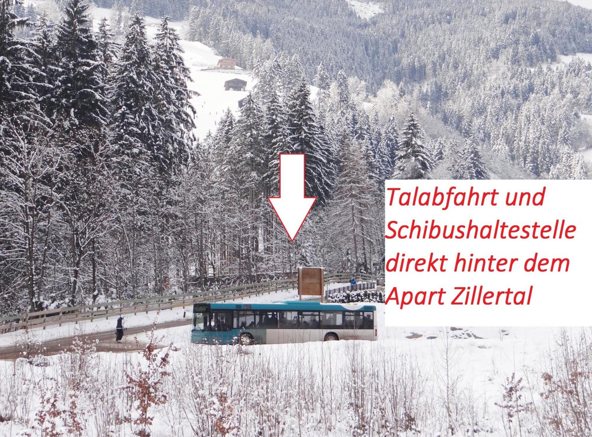 Apart Zillertal Aschau Im Zillertal Zewnętrze zdjęcie